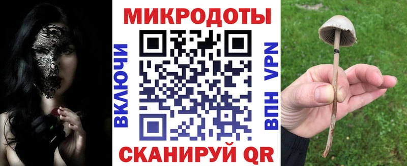 Галлюциногенные грибы Psilocybine cubensis  Верхняя Салда 