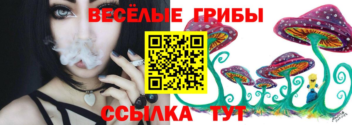 Галлюциногенные грибы прущие грибы Верхняя Салда